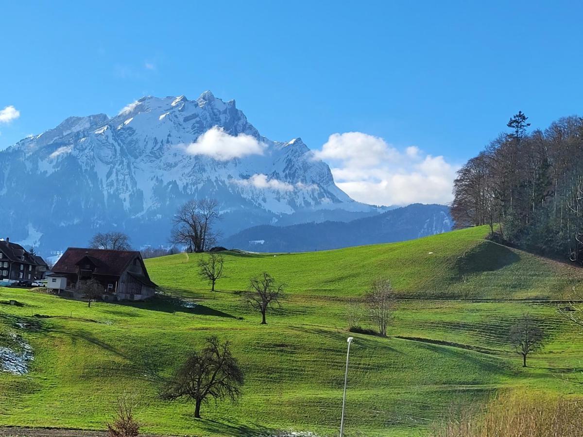 Castagna *
